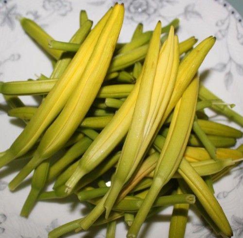 忘忧草在线播放WWW芒果忘忧草在线播放，芒果之下的心灵慰藉