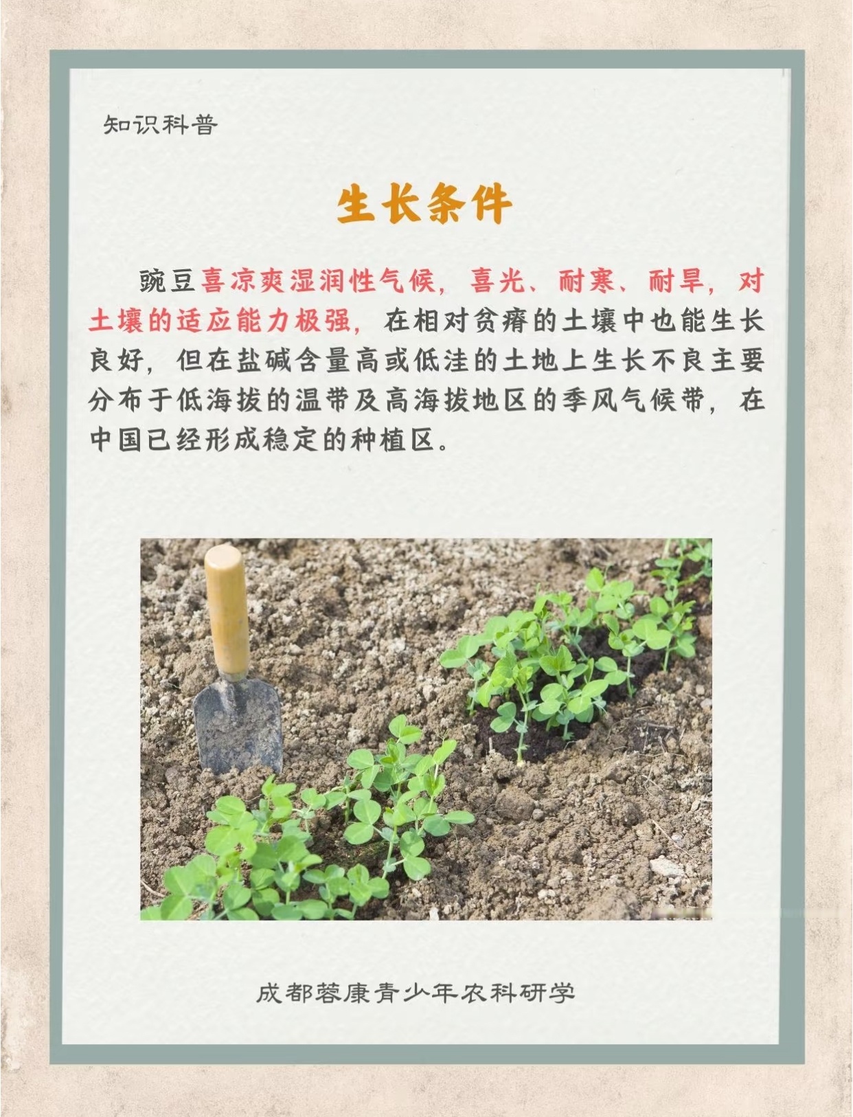 地豆网地豆网，引领智慧农业的新篇章-第3张图片