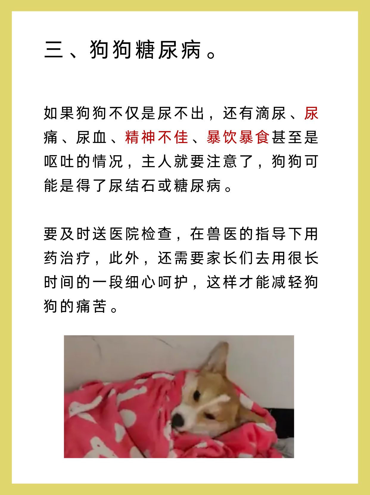主人尿在肚子里不能流出来怎么办主人尿在肚子里不能流出来-第3张图片