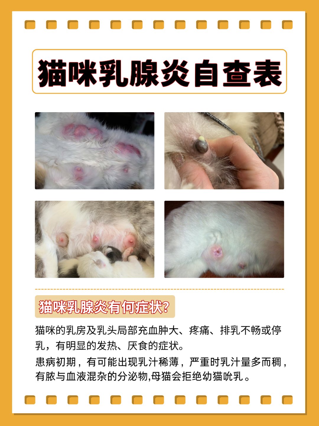 两个奶头被吃得又翘又肿