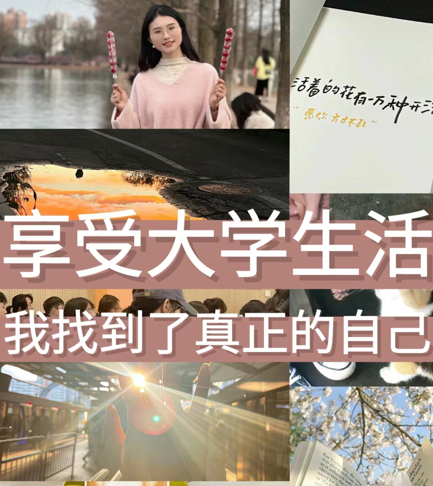 恋之篇章，情感的旅程-第2张图片