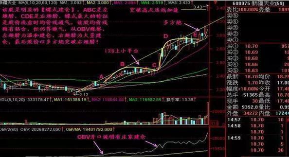 探索100大免费行情软件，把握市场脉搏-第2张图片