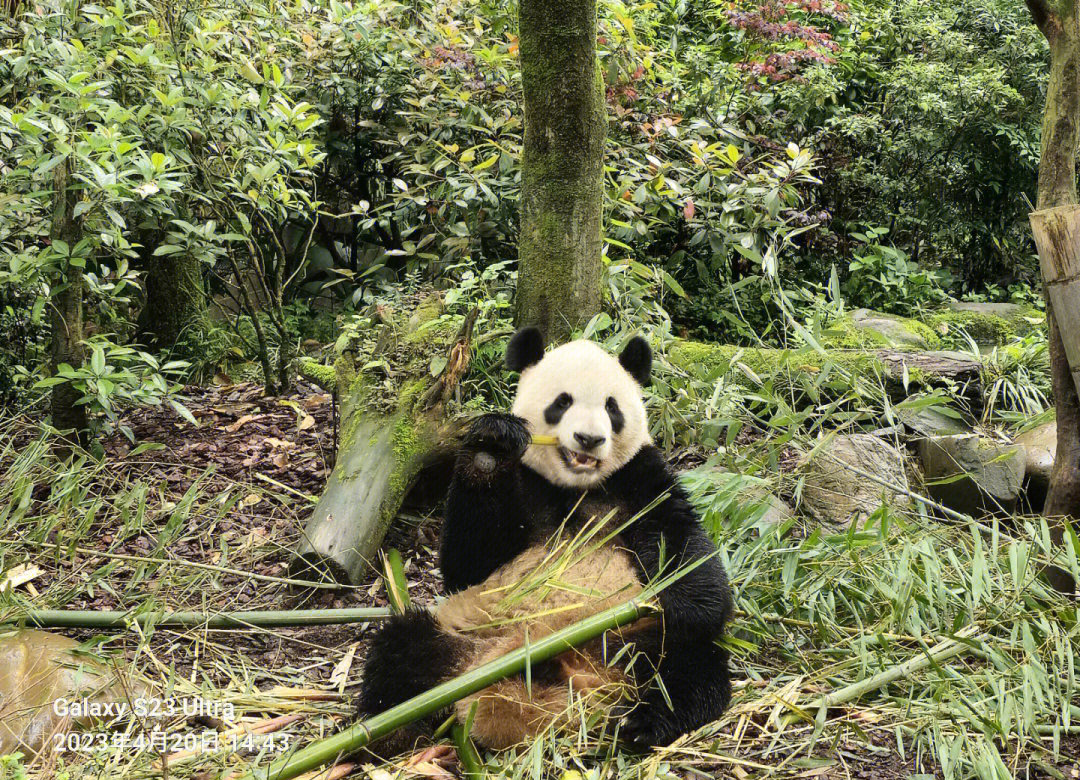 懒人谷懒人谷，轻松开启新生活-第3张图片