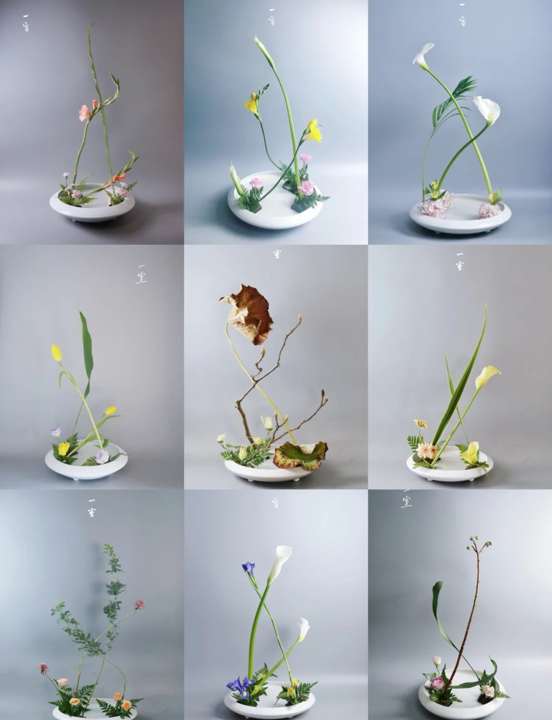 手指插花的核心技巧