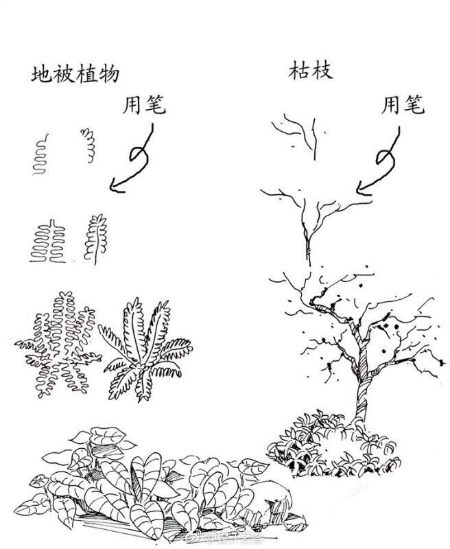 11岁如何用笔草自己？-第2张图片