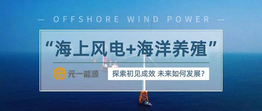 金富利心水论坛，探索心灵交流的海洋-第2张图片