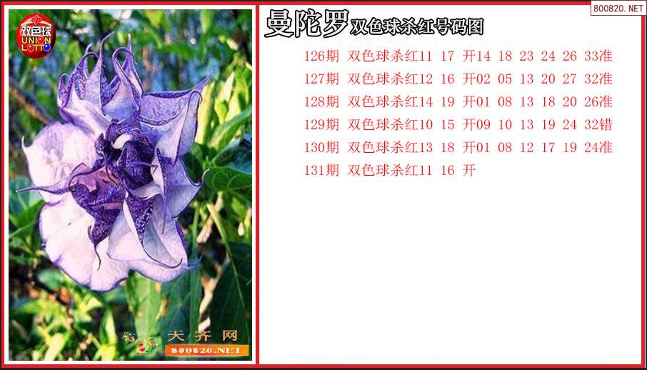 双色球专家杀号揭秘-第2张图片