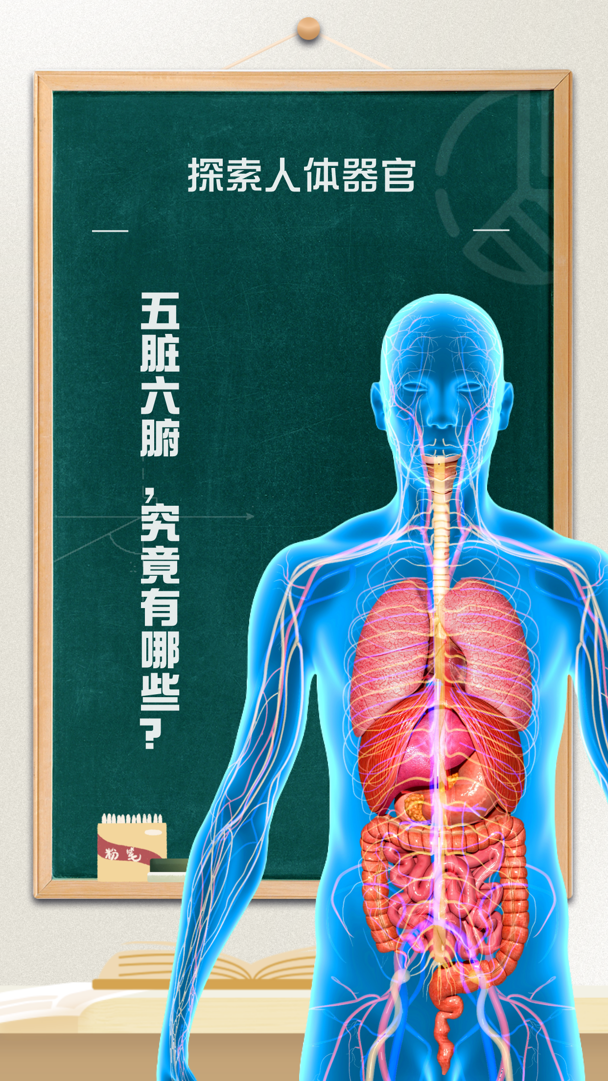 789人体探索之旅-第2张图片