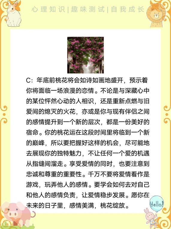 发财一肖一码，揭秘幸运密码