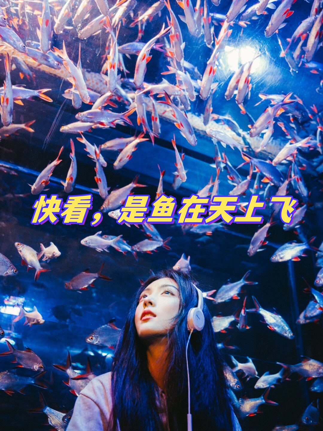 色之图界，探索视觉的无限可能-第2张图片