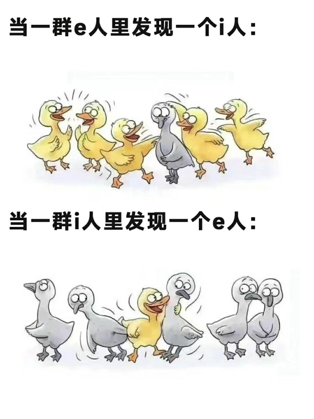 i人e人是什么意思I人与E人的融合与挑战