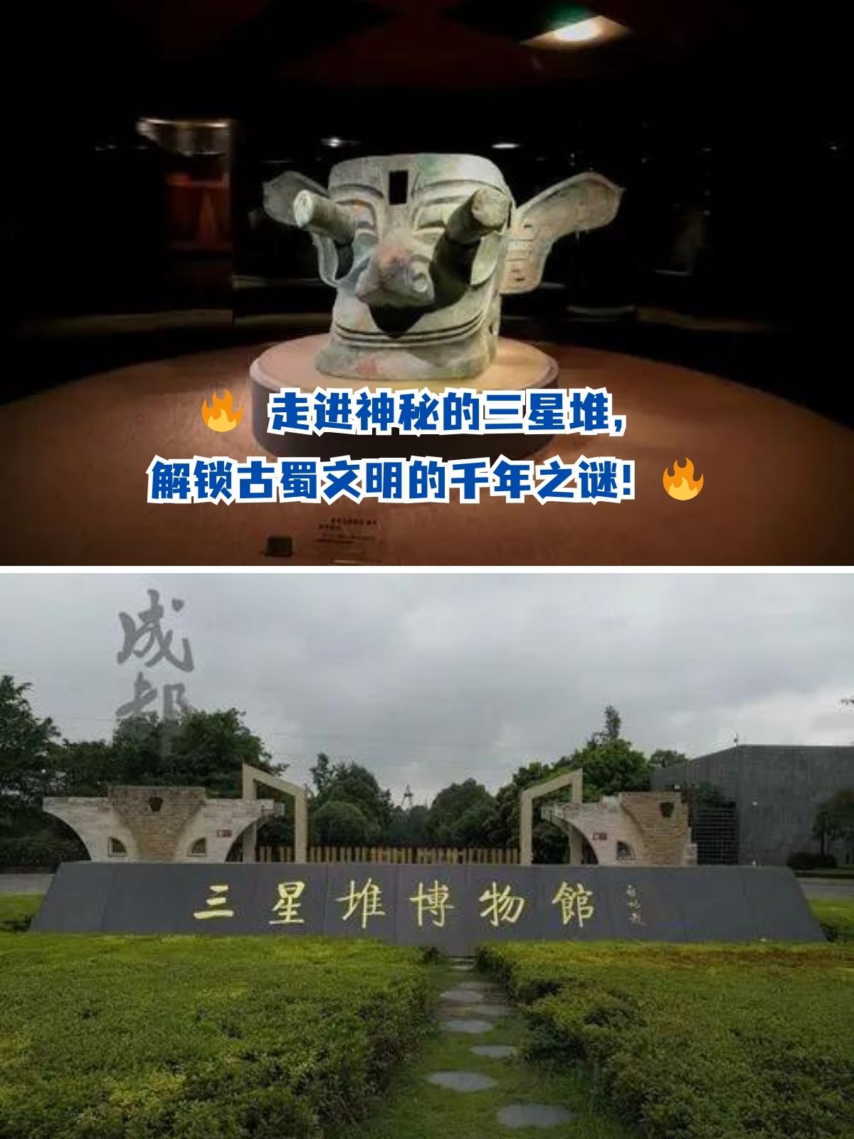 遗物猎人遗物猎人，探寻尘封的历史与神秘宝藏