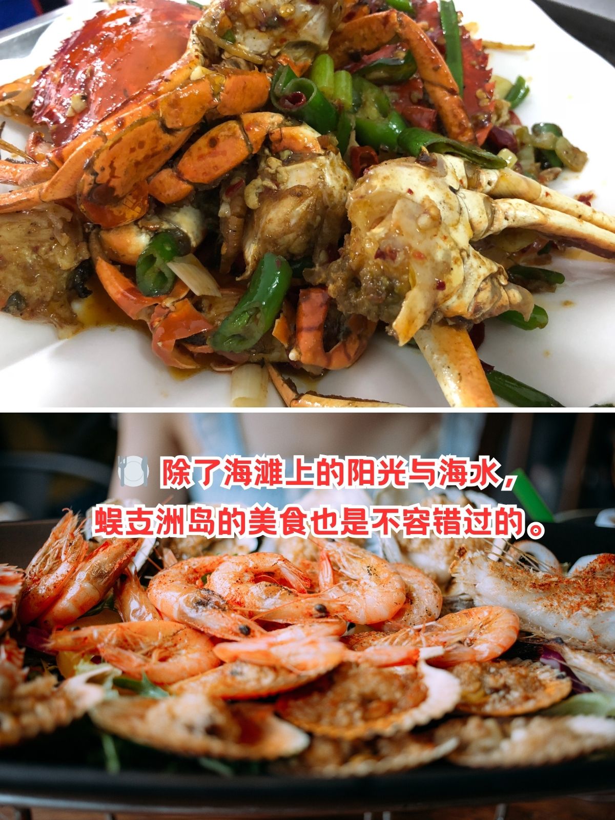 爱情路线独家免费路线大全爱岛视频，探索美丽岛屿的魅力-第3张图片