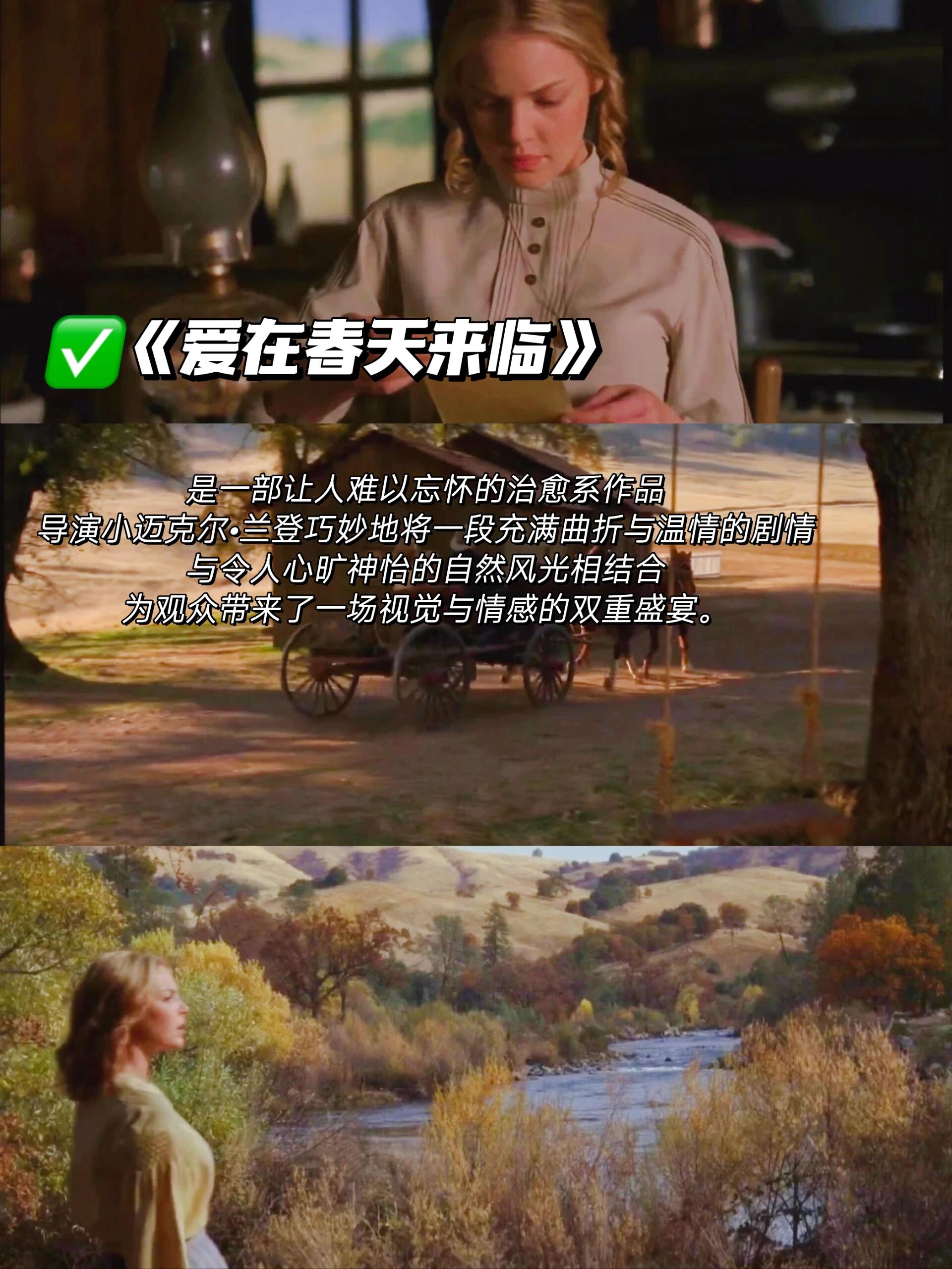 最新BL电影热播，探索最新视觉盛宴-第2张图片