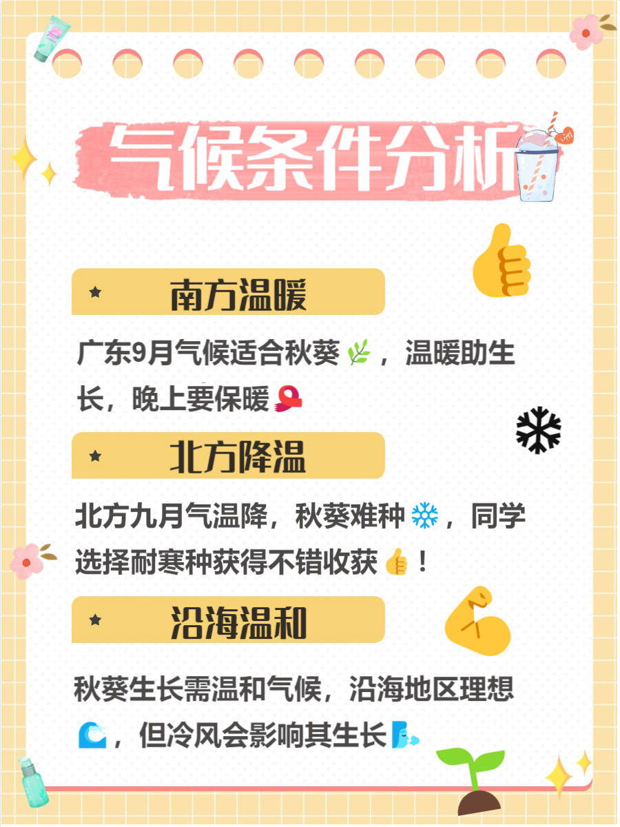 秋葵app下载免费体验-第3张图片