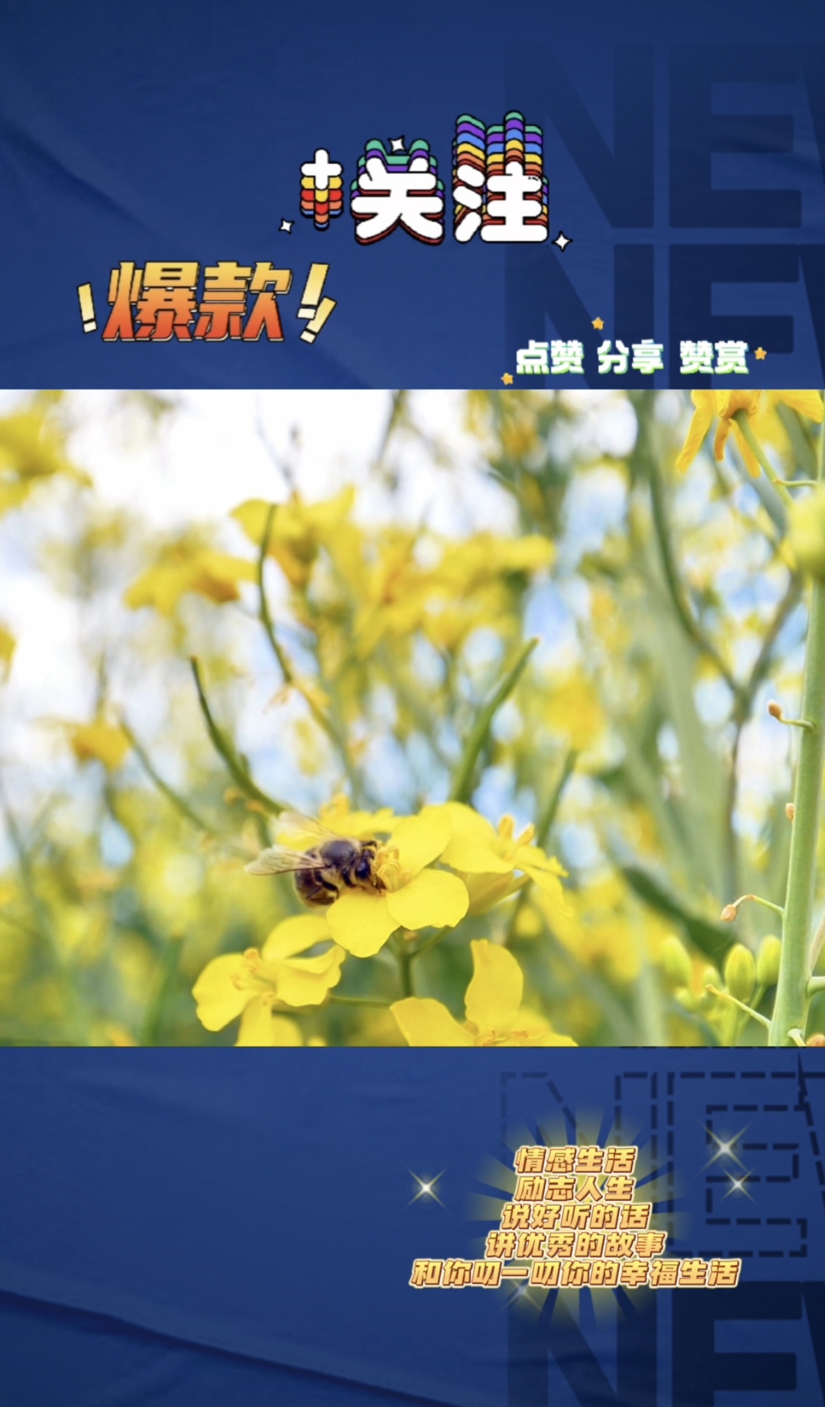 妻子上司请我们吃饭,听到他对妻子的称呼妻子上司请我们共进晚餐-第3张图片