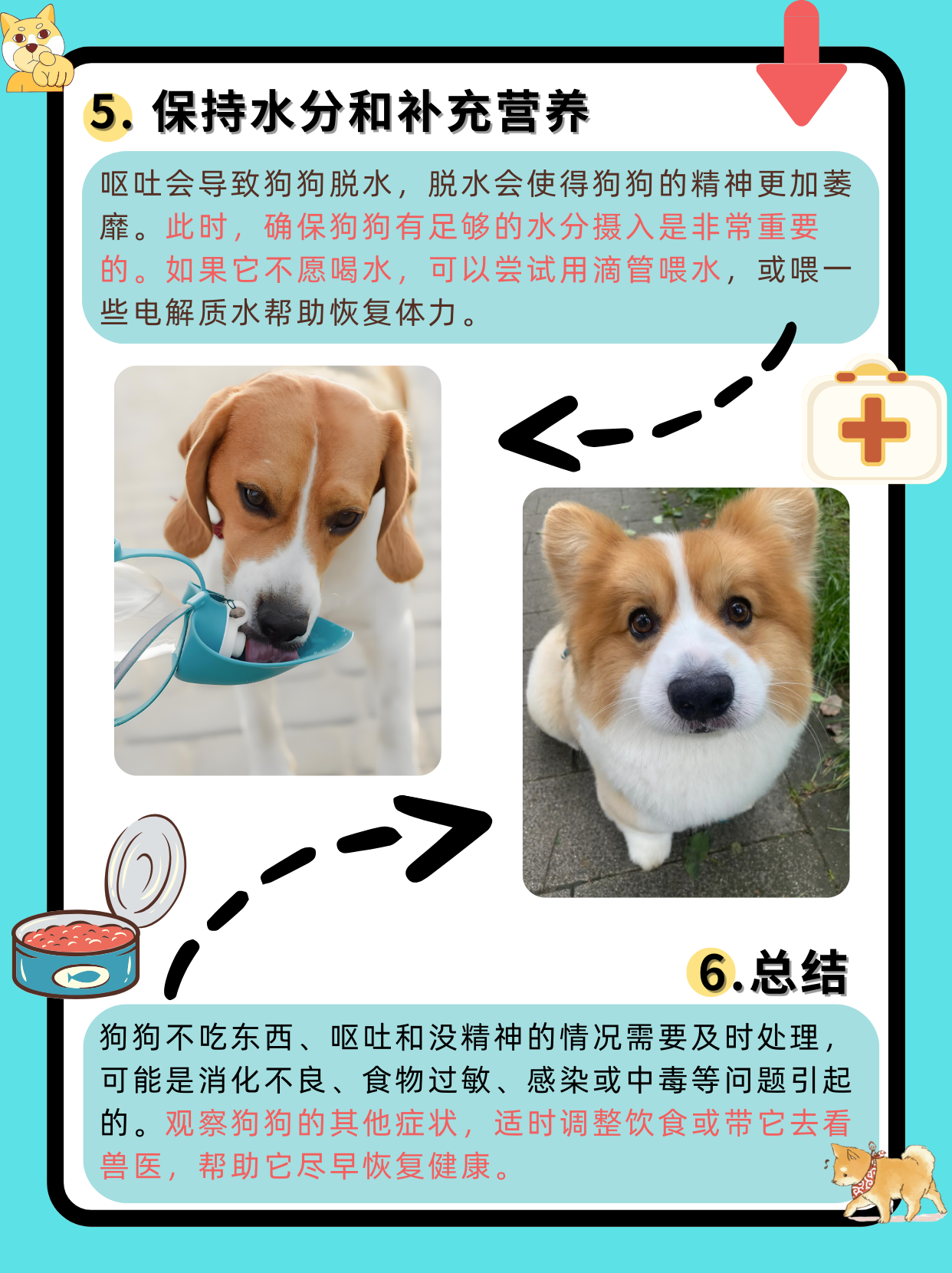 狗半天没尿怎么回事狗狗好厉害，半小时的神奇表现