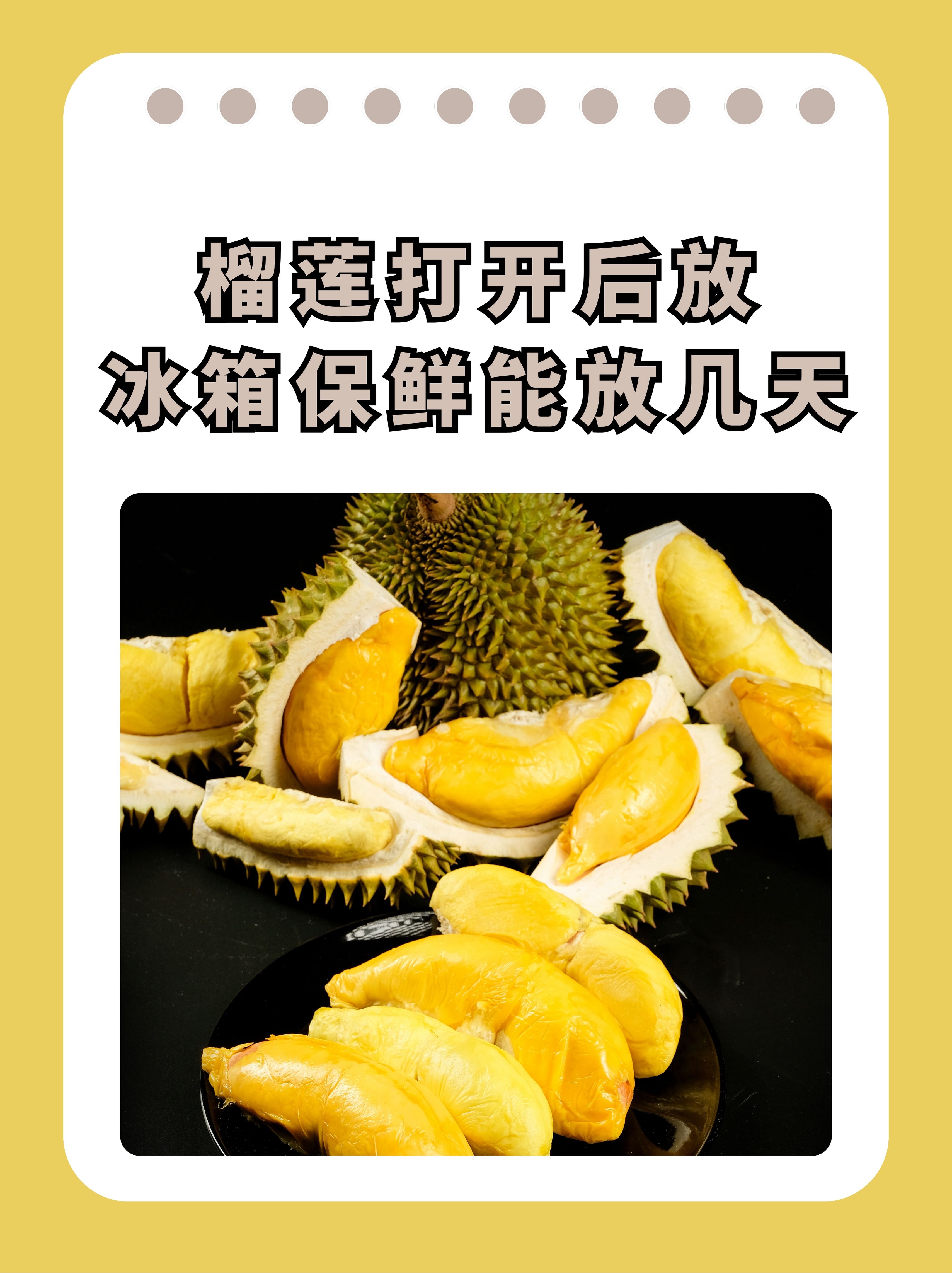 榴莲视频APP下载与进入