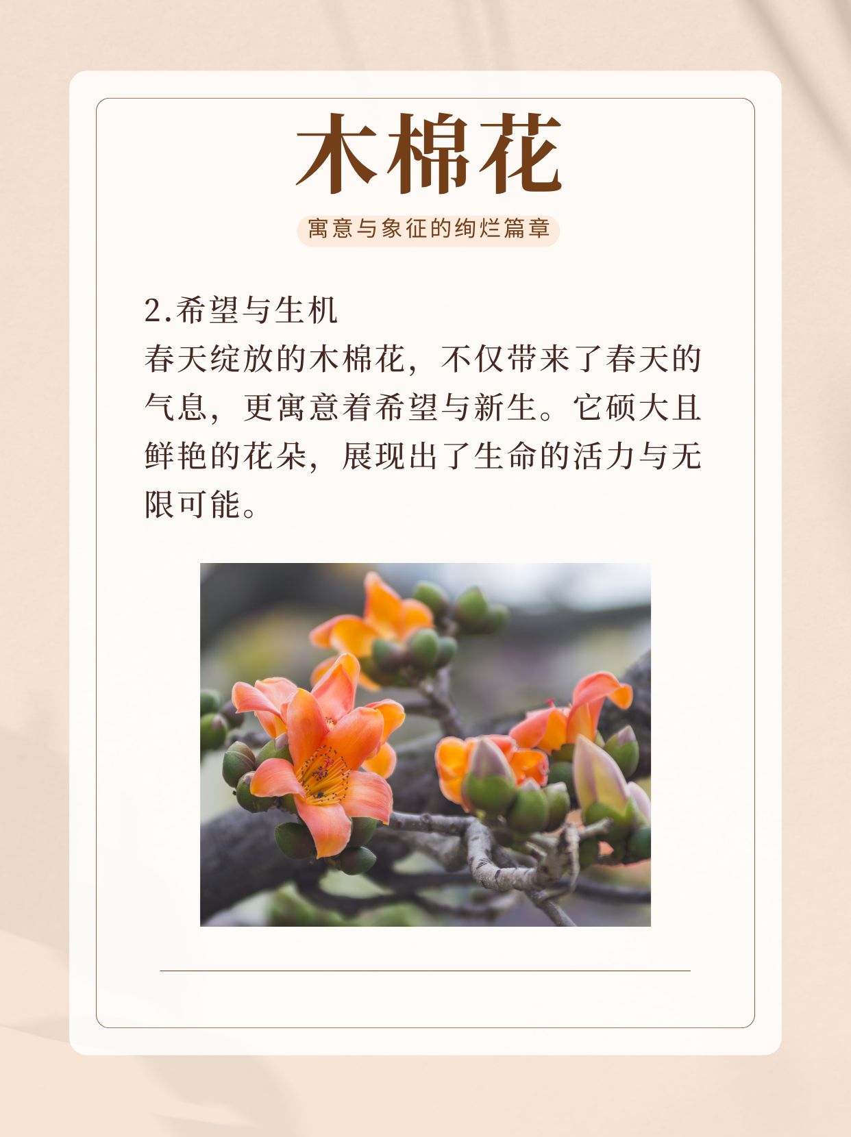 花季v3087花季V3.0，青春的绚丽篇章