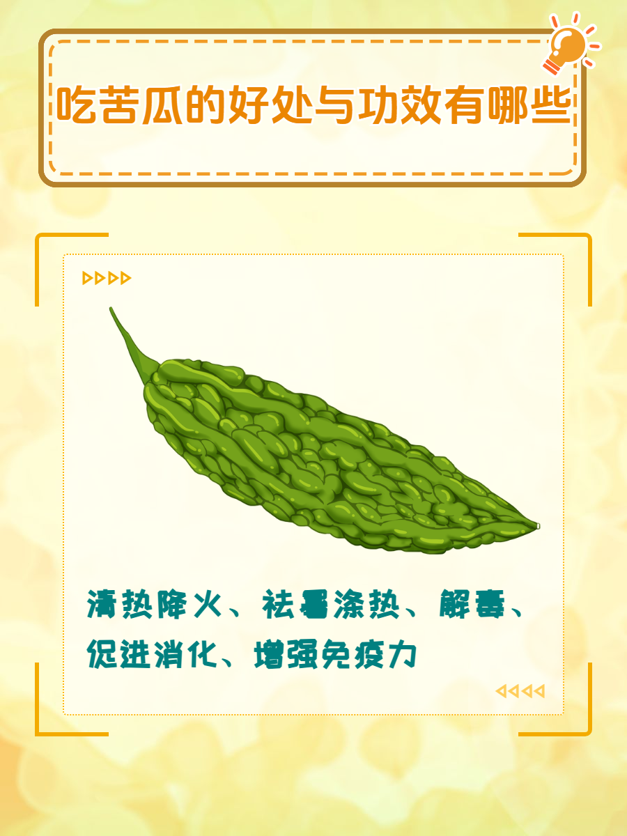 苦瓜网，探索苦瓜的魅力与价值