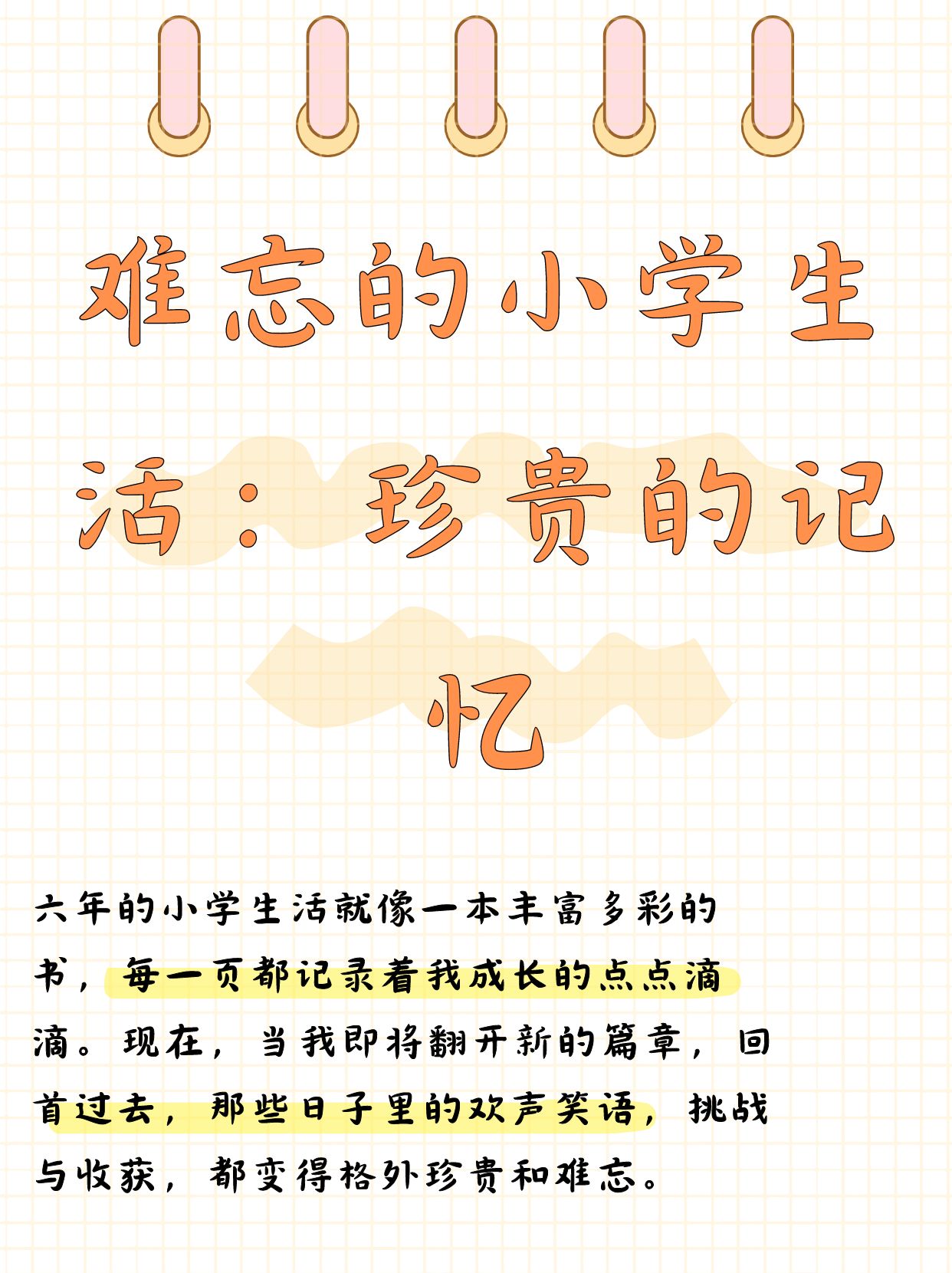 三色网三色网，多彩生活的新选择