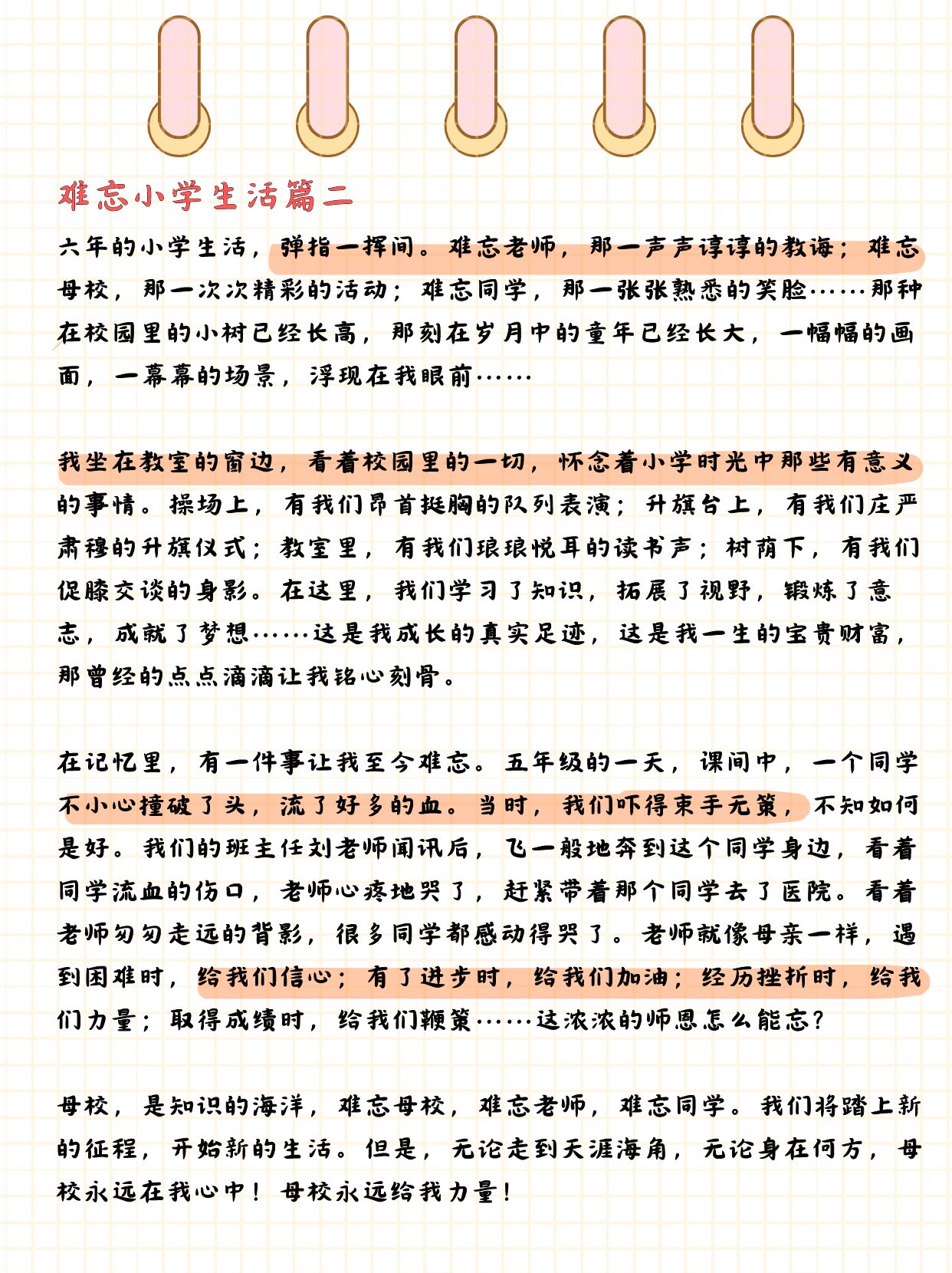三色网三色网，多彩生活的新选择-第2张图片