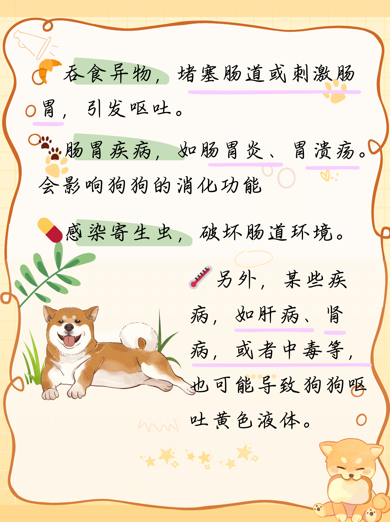 狗半天没尿怎么回事狗狗好厉害，半小时的神奇表现-第3张图片
