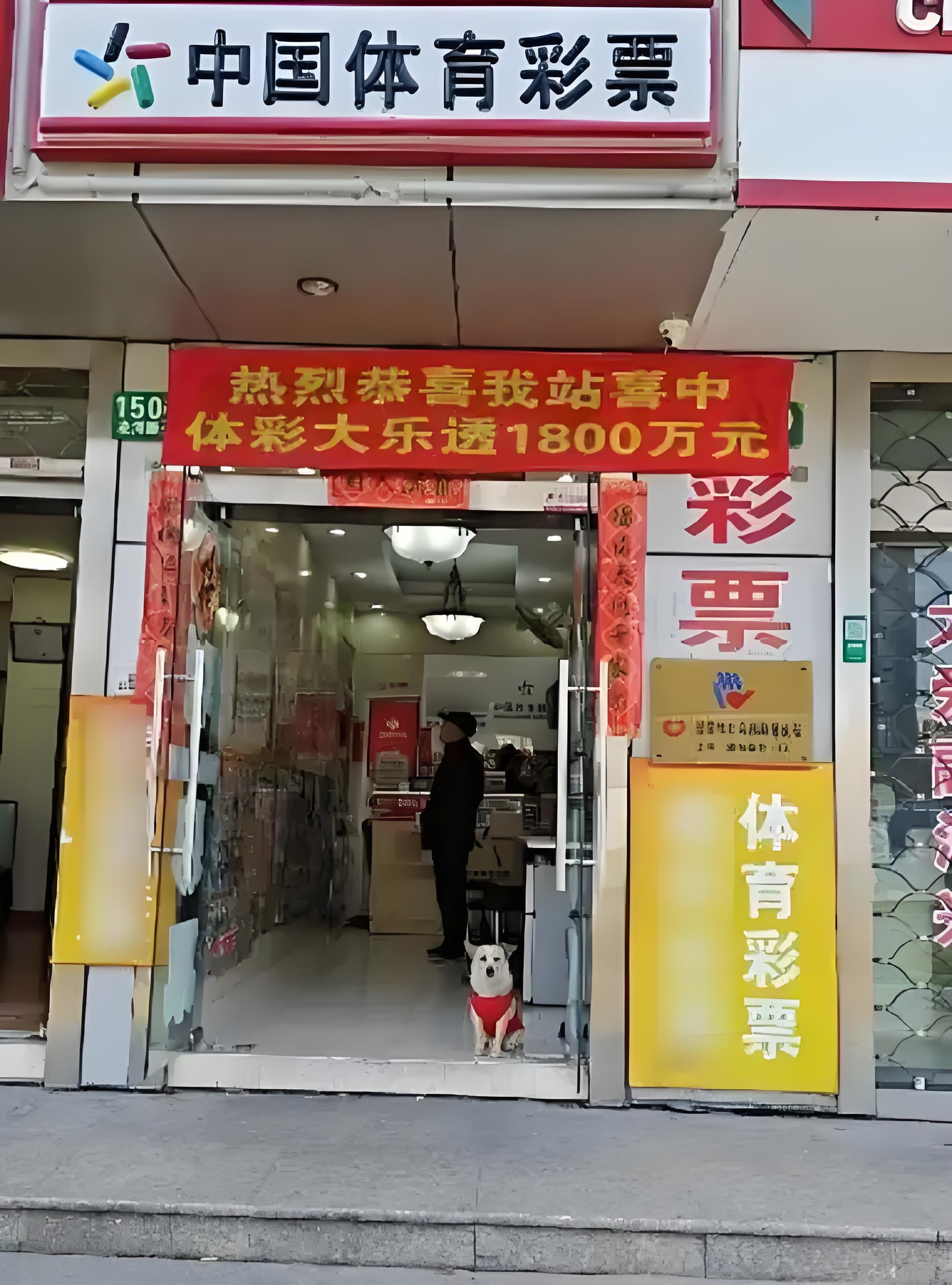 中国体彩官方APP，便捷购彩新体验-第3张图片