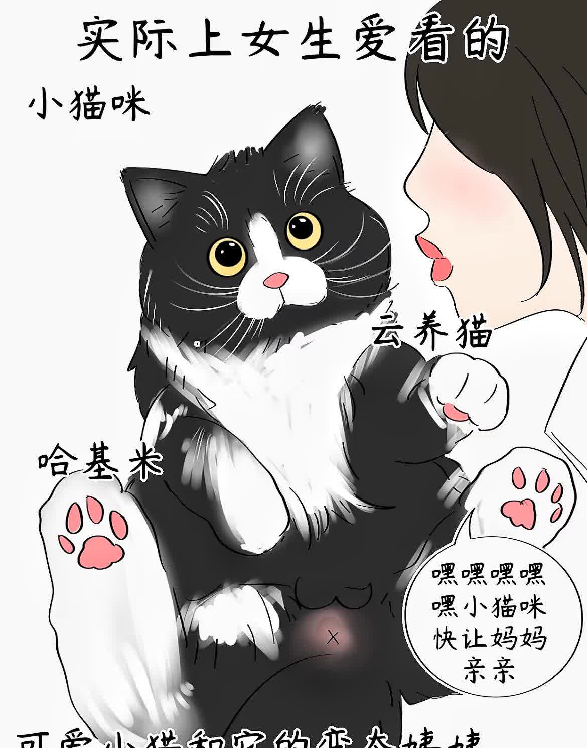 把腿再抬高一点就能吃到扇贝了动漫kb把腿抬高一点，就能吃到扇贝的美味
