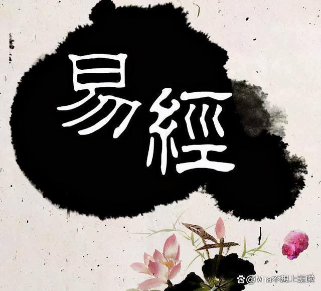 六盒宝典六盒宝典，智慧与经验的结晶-第3张图片