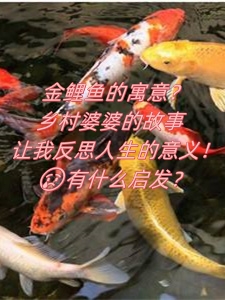 乡村大战老妇乡村大战老妇