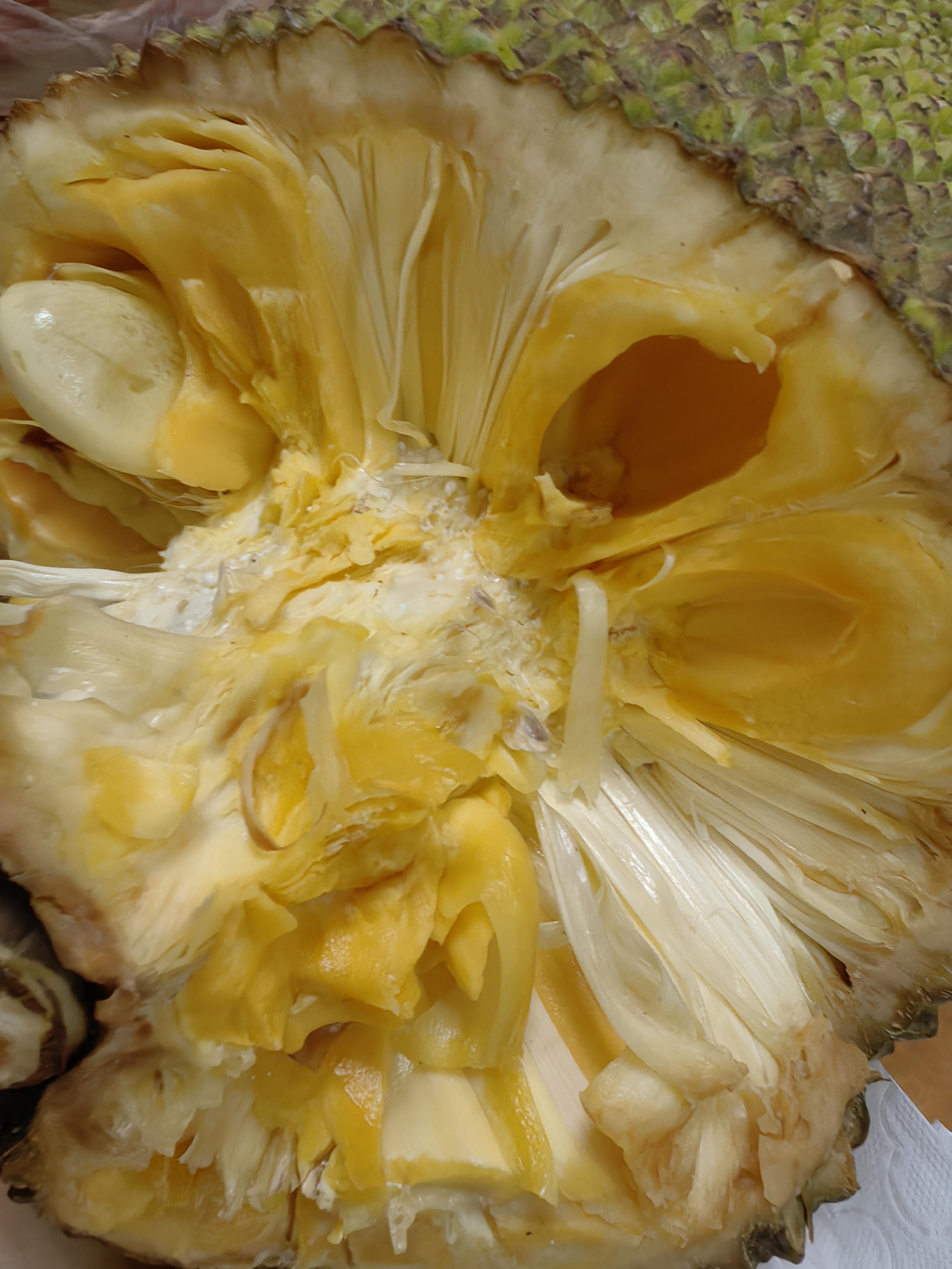 菠萝菠萝蜜免费观看视频