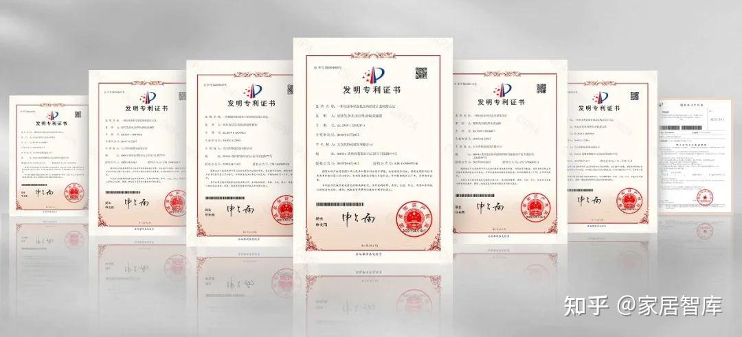 国产专利一区，创新之路