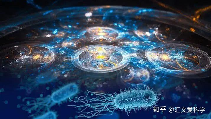 秘密网站秘密网站，隐藏在互联网背后的神秘世界-第2张图片