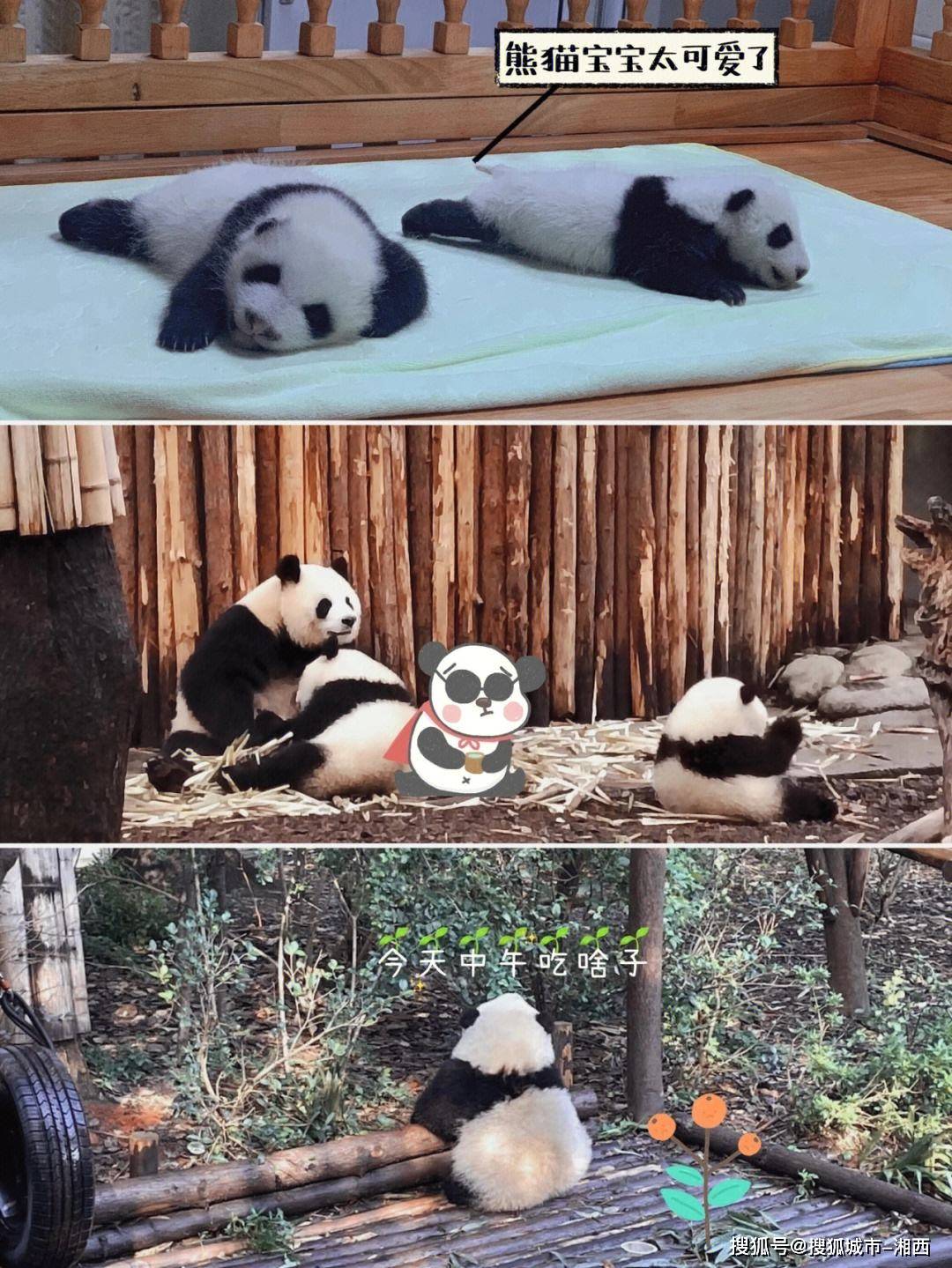 成都4片P完整版免费视频