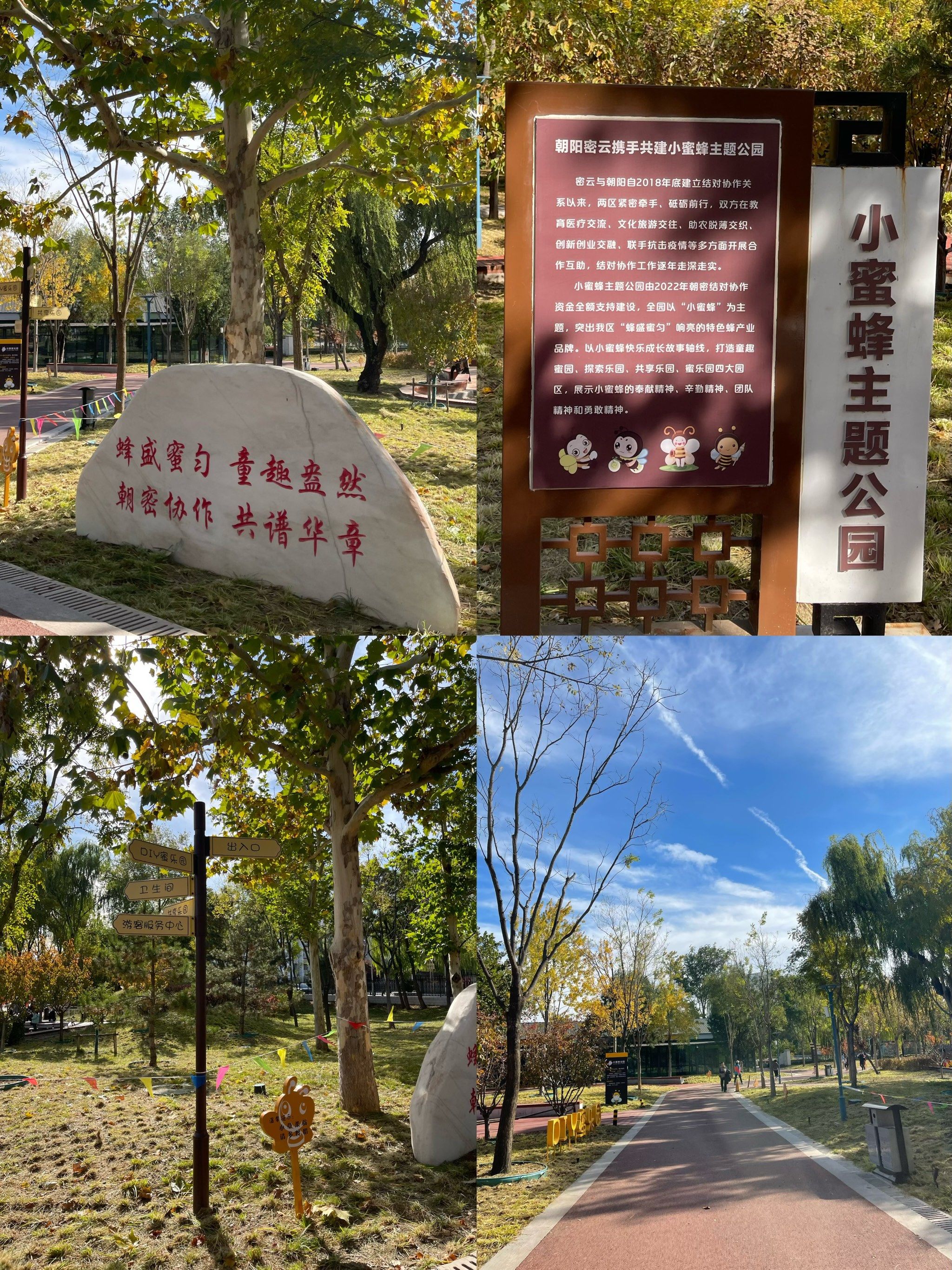 舔舐花蜜，蜜蜂的甜蜜之旅-第3张图片