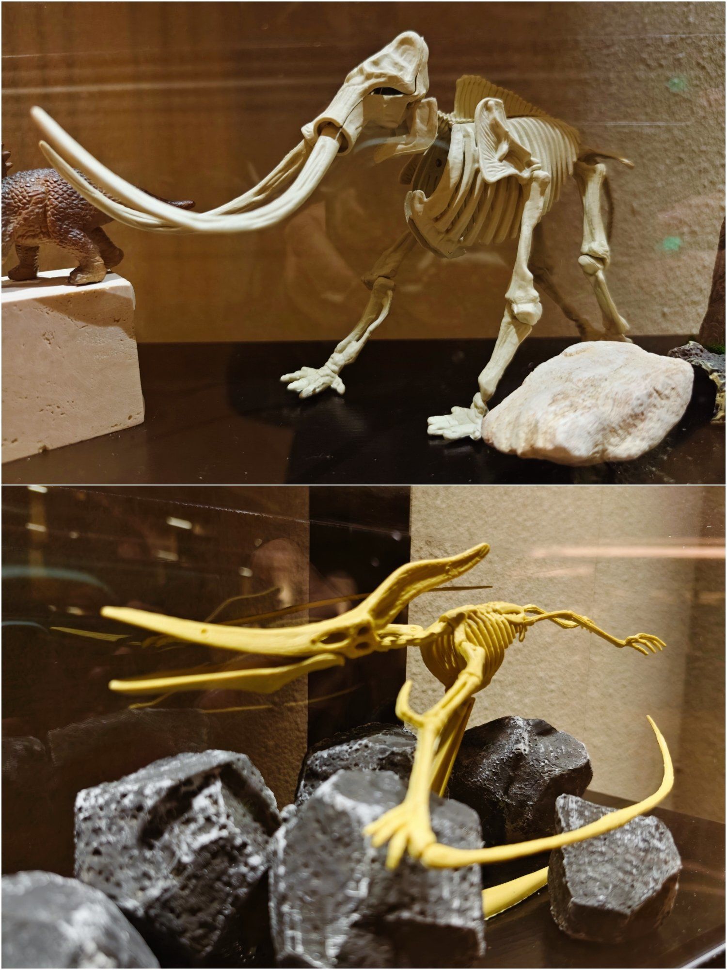 3D现场直播，沉浸式体验的新纪元-第3张图片