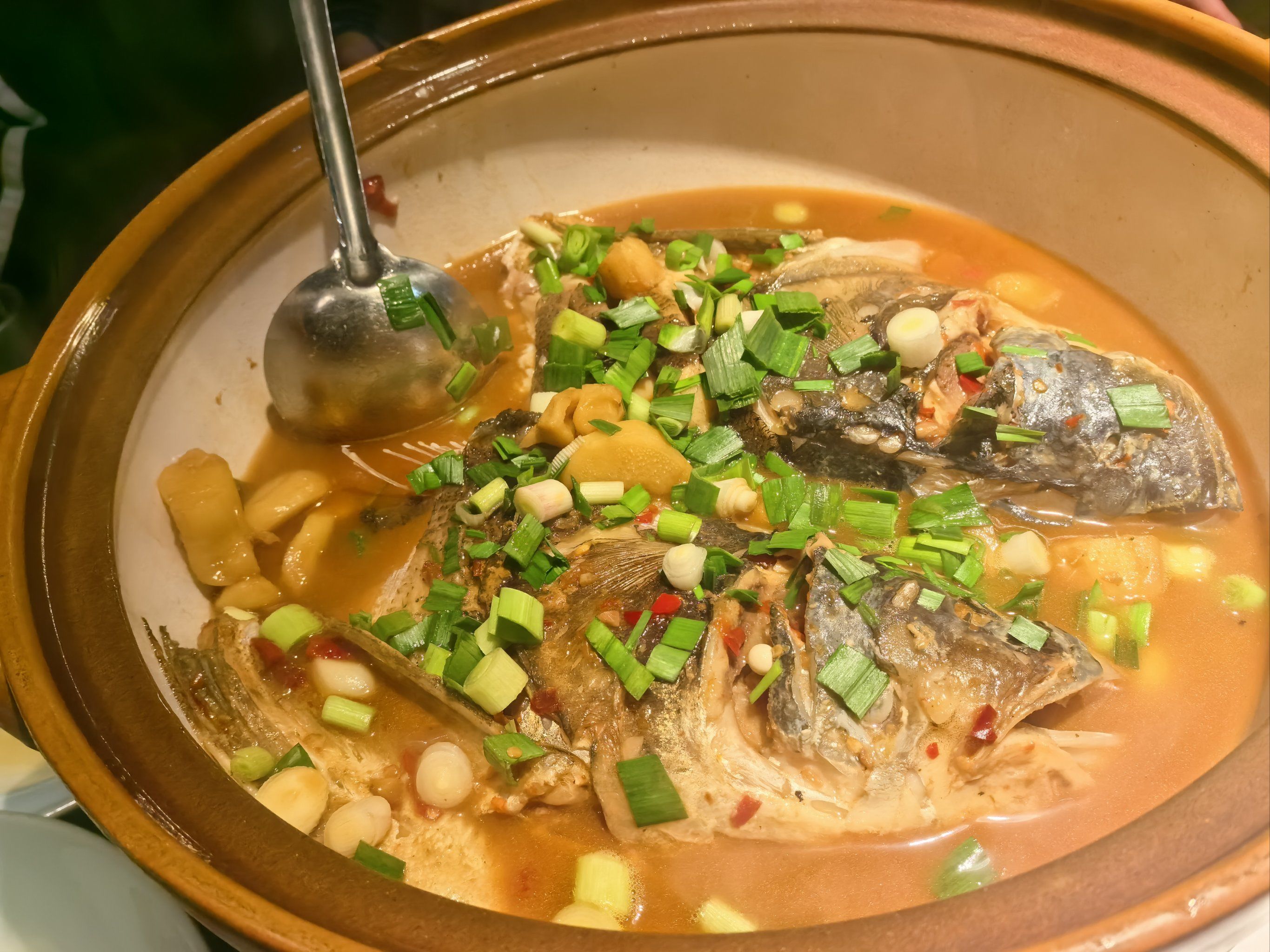 汤头条汤头条，快速、便捷、实用的美食资讯平台-第2张图片