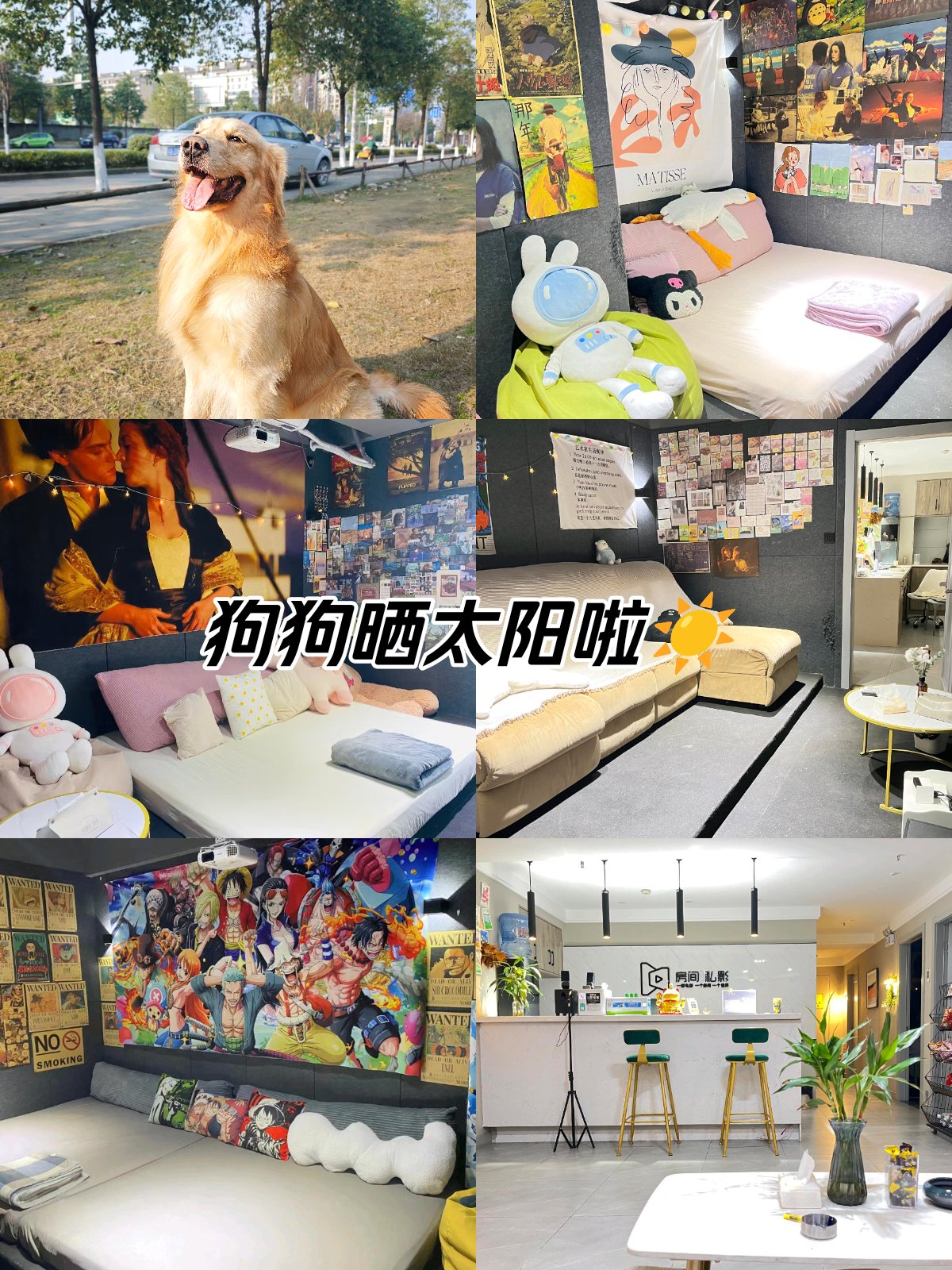 猫狗影院猫狗影院，宠物电影的奇妙世界-第1张图片