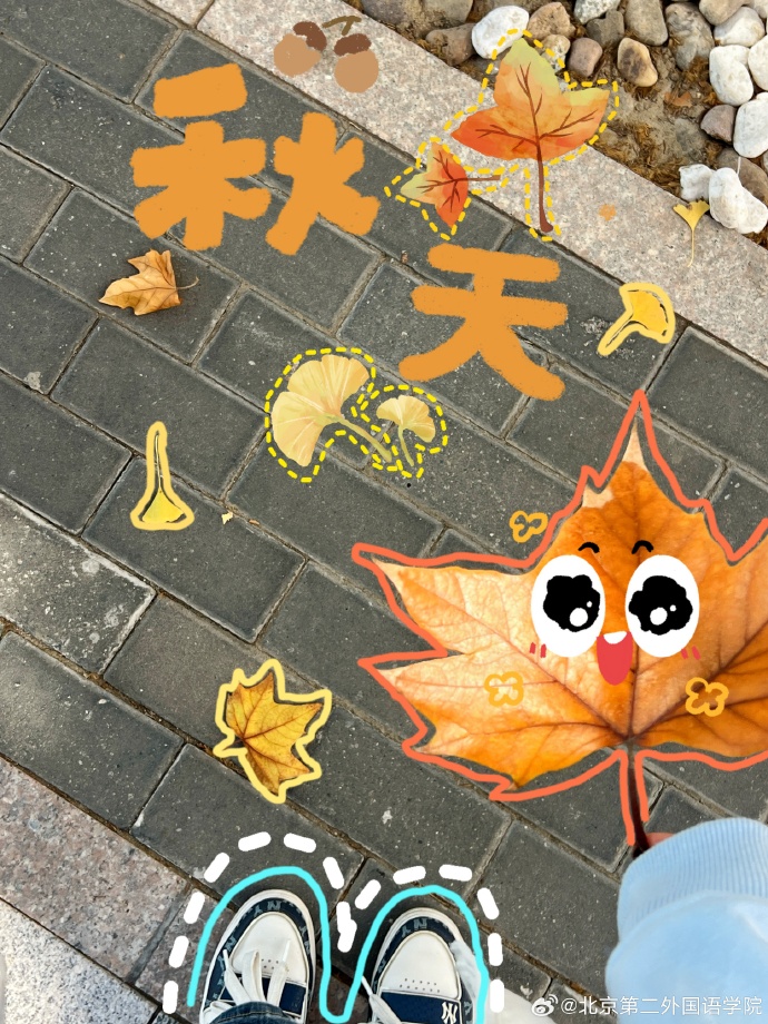 缤纷网，网络世界的多彩画卷-第2张图片