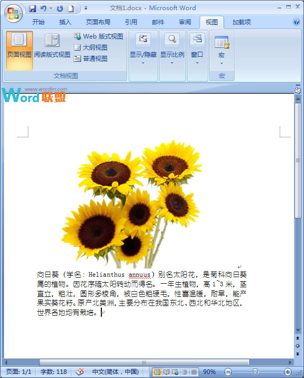 向日葵App下载网址及进入18在线观看站长统计-第2张图片