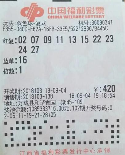 天天娱乐快三平台彩票天天娱乐，快乐无边界的娱乐体验