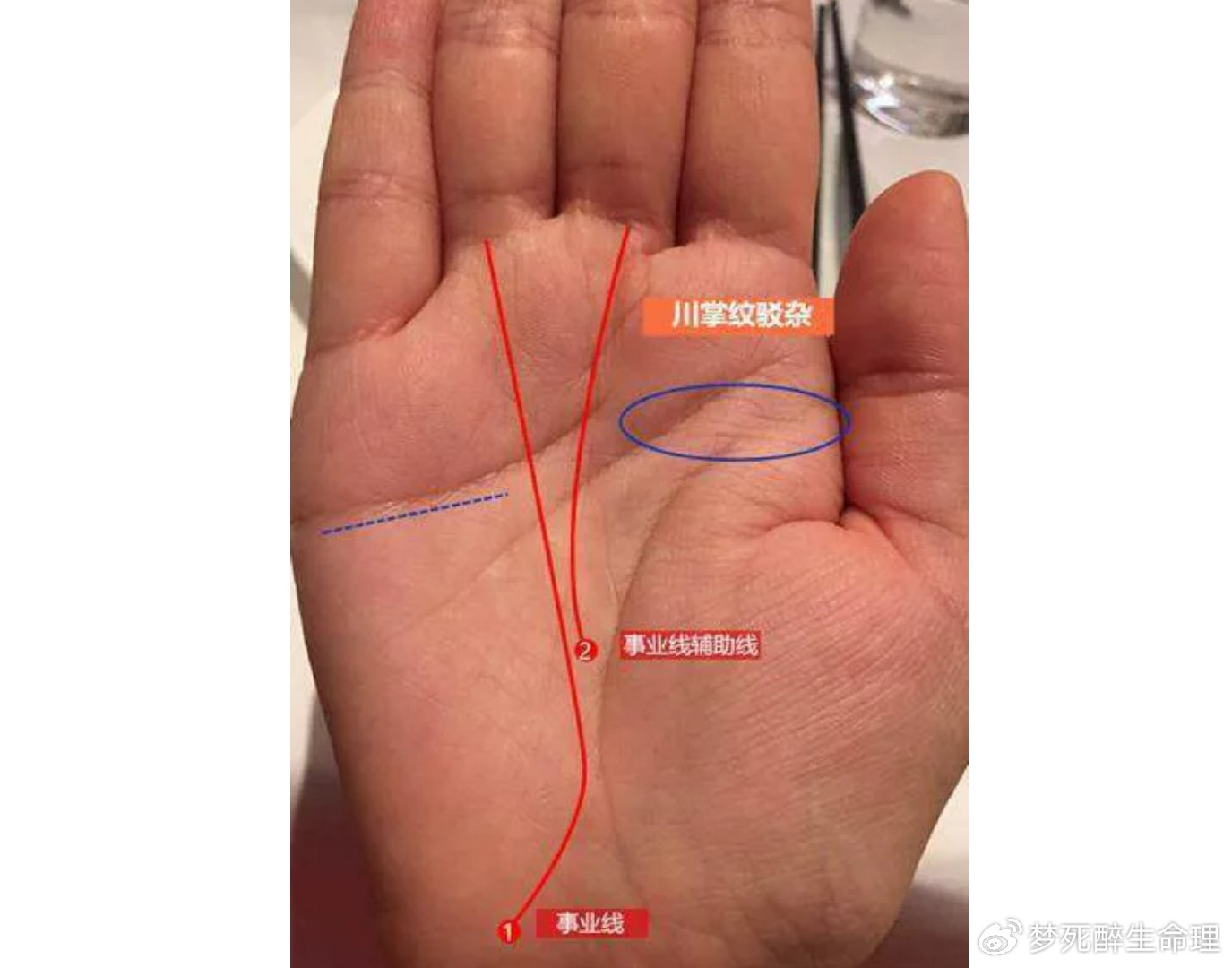 手相没有事业线解析-第3张图片