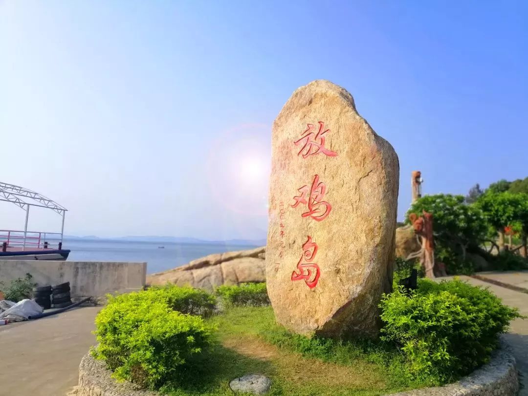 加勒比朝桐光