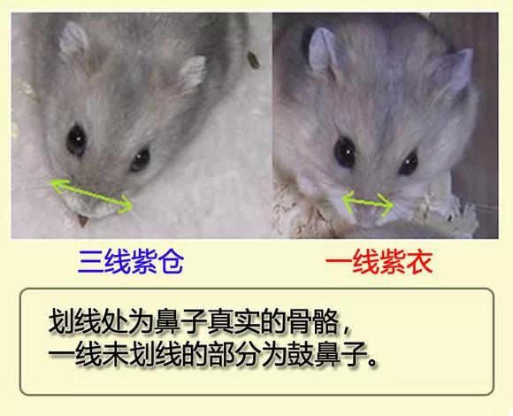 国内精品一线二线三线之间的区别-第2张图片