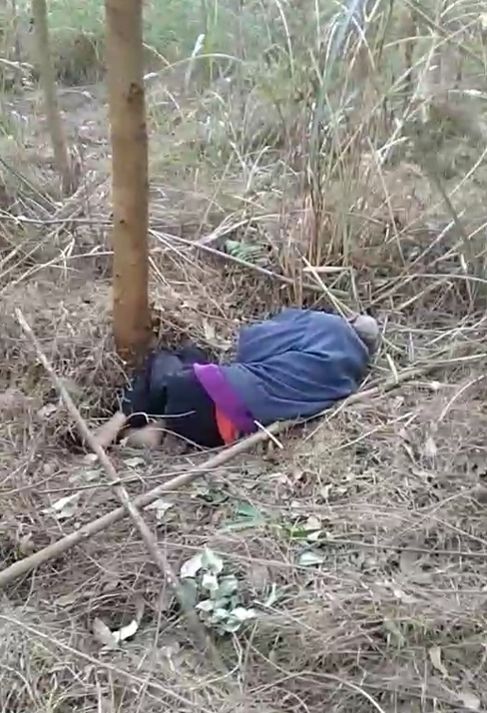 农民工在树林里嫖妓录像农民工在树林里嫖妓录像