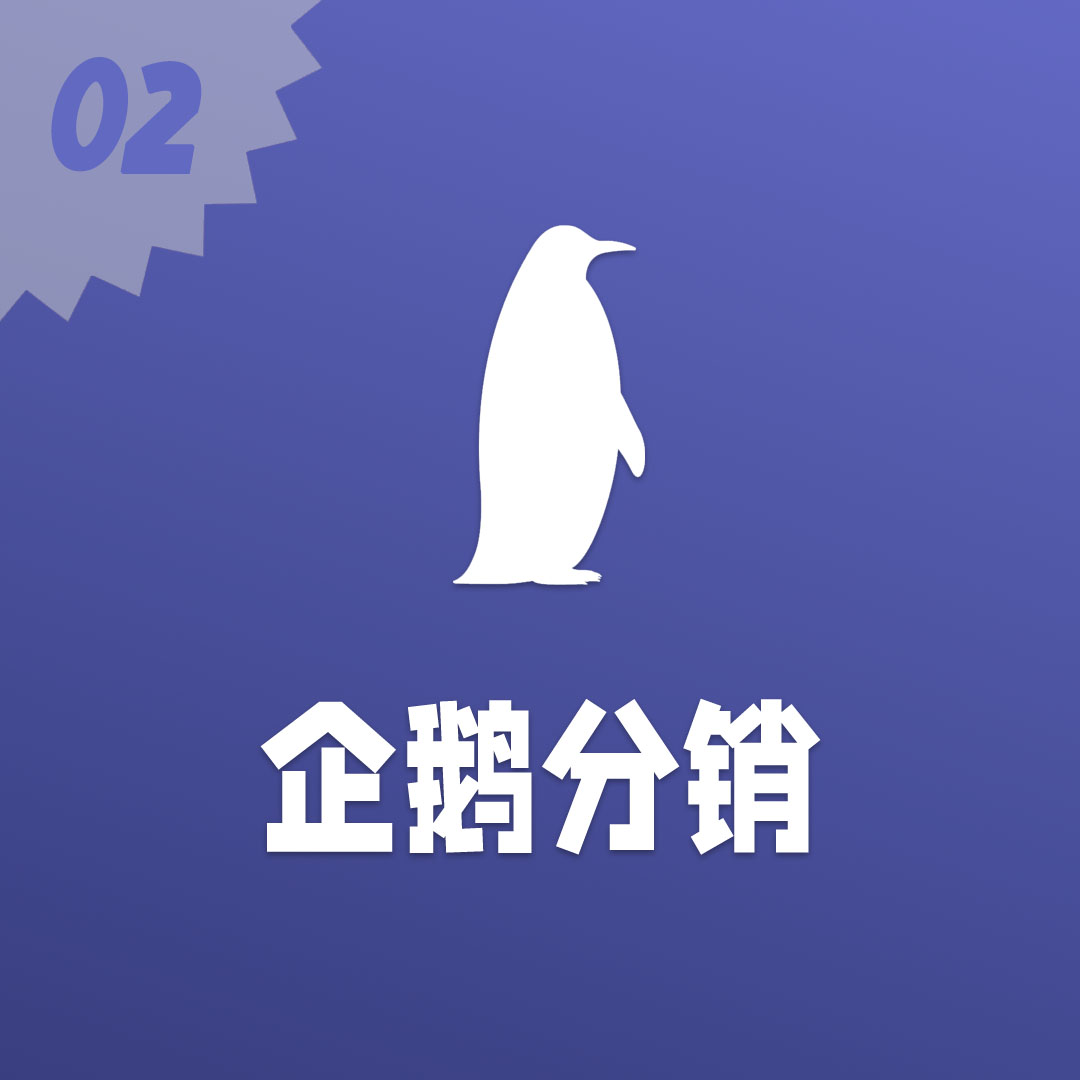 整站下载软件，提升下载效率与便捷性的利器