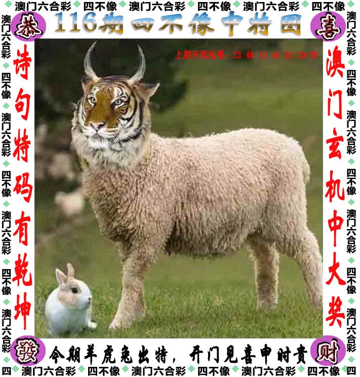 246天天好彩精选资料-第3张图片