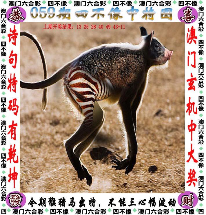 今晚特马码今晚特马码，探索数字时代的神秘力量-第2张图片