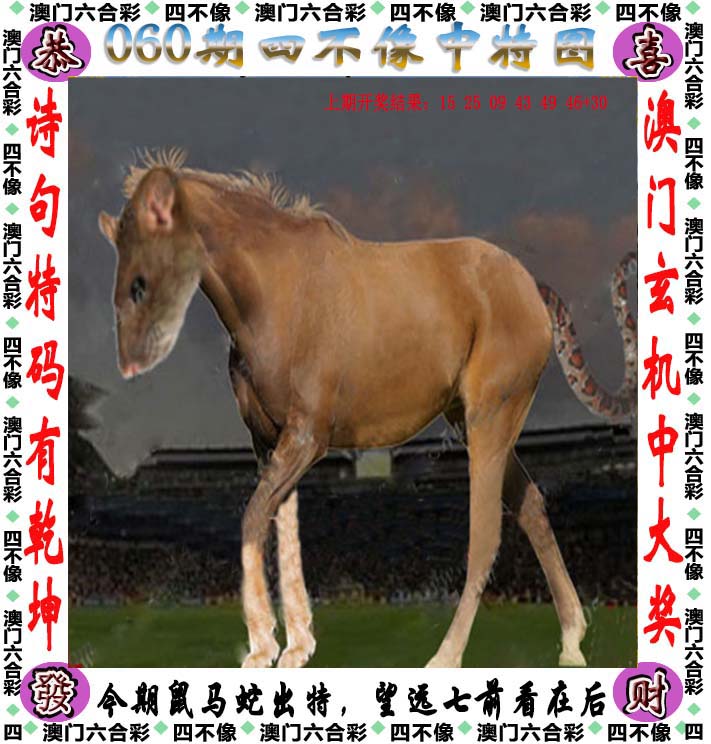 246天天好彩9944cc，彩纷呈的幸运时刻-第2张图片